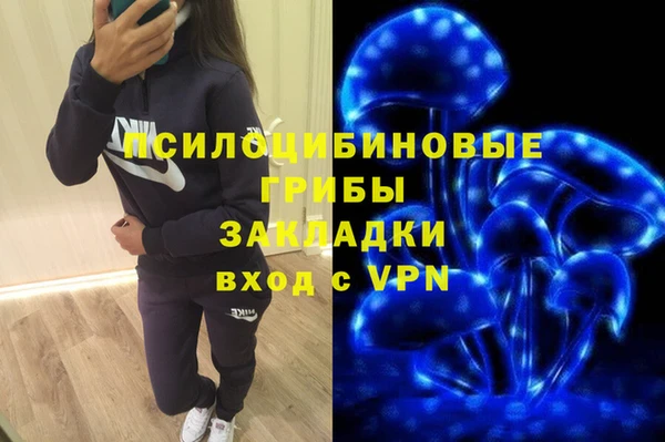 соль курить ск Арсеньев